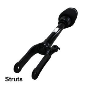 Air Struts & Air bags